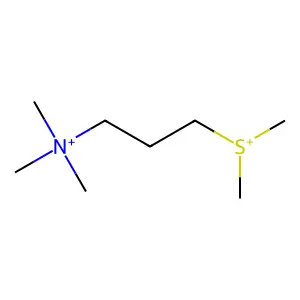1-Propanaminium, 3-(dimethylsulfonio)-N,N,N-trimethyl- structure