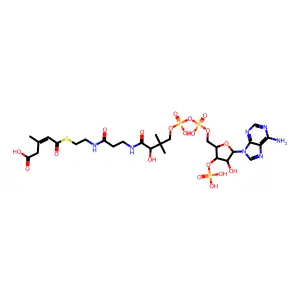 3-Methylglutaconyl-CoA structure