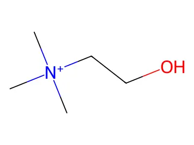 Choline structure