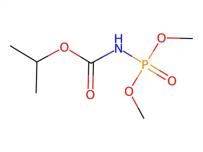 Avenin structure