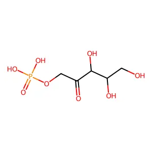 D-Xylulose 1-phosphate structure