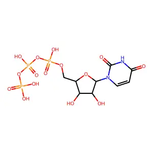 Ara-utp structure