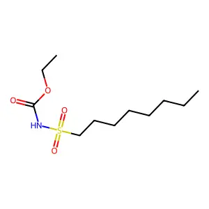 Carbamic acid, octylsulfonyl-, ethyl ester structure