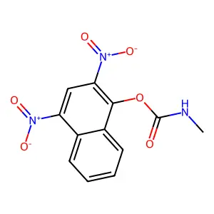 Carbamic acid, methyl-, 2,4-dinitro-1-naphthyl ester structure
