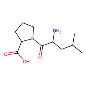 Leu-Pro structure
