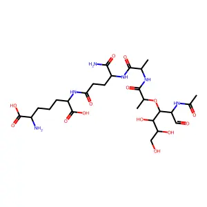 muramylNAc-Ala-isoGln-Lys-tripeptide structure