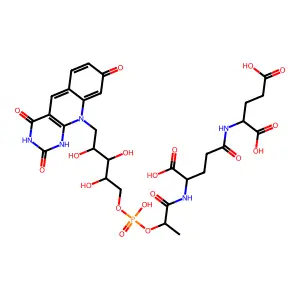 coenzyme F420 structure