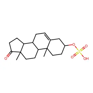 DHEA sulfate structure