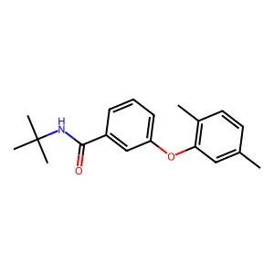 n-Tert-butyl-3-(2,5-dimethylphenoxy)benzamide structure