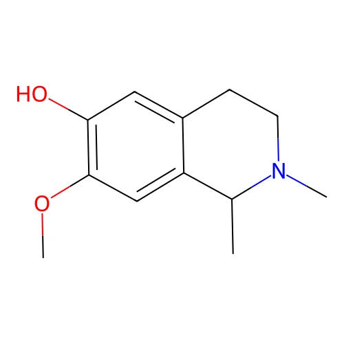 6-N orcarnegine structure