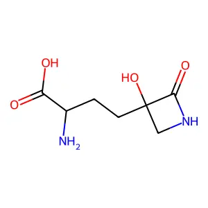 (-)-Tabtoxinine beta-lactam structure