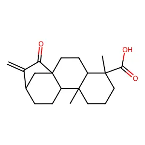 ent-15-Oxo-16-kauren-19-oic acid structure