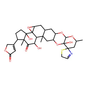 Labriformine structure