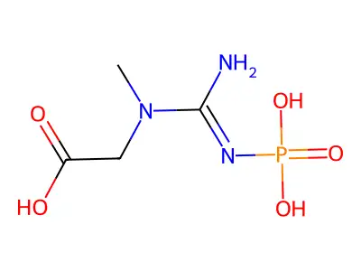 N-methyl-N-(N-phosphonocarbamimidoyl)glycine structure