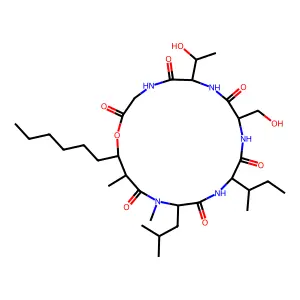 Globomycin structure
