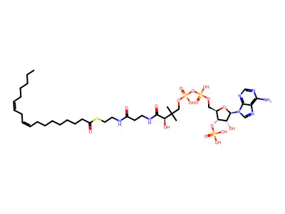 Linoleoyl coenzyme A, Free structure