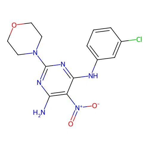 (6-Amino-2-morpholin-4-yl-5-nitropyrimidin-4-yl)(3-chlorophenyl)amine structure