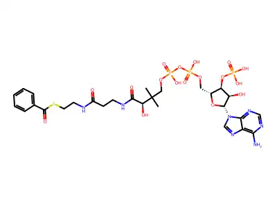 benzoyl-coenzyme A structure