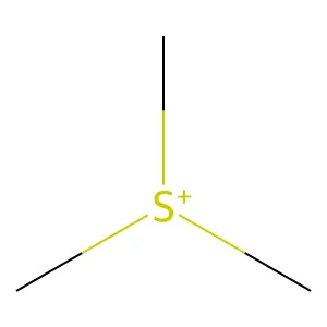Trimethylsulfonium structure