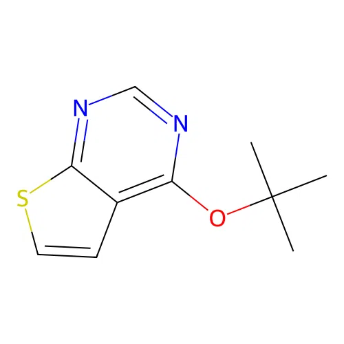 4-[(2-Methylpropan-2-yl)oxy]thieno[2,3-d]pyrimidine structure