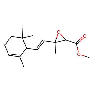 prune glycidate structure