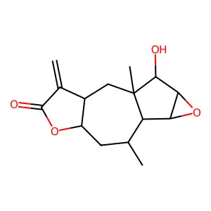 Amaralin structure