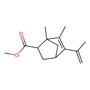 Methyl vetivate structure