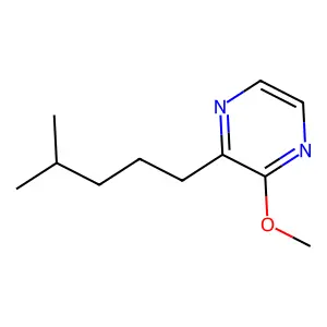 Pyrazine, 2-methoxy-3-(4-methylpentyl)- structure