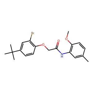 2-(2-bromo-4-tert-butylphenoxy)-N-(2-methoxy-5-methylphenyl)acetamide structure