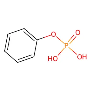 Phenyl phosphate structure