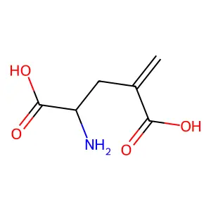 4-Methyleneglutamic acid structure