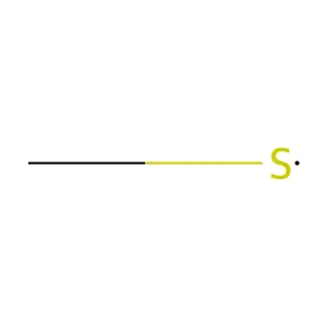 Methylsulfanyl structure