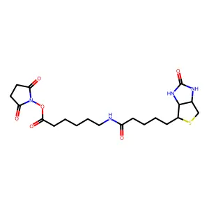 Nhs-LC-biotin structure