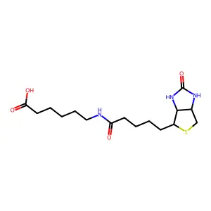 6-[5-(2-Oxo-Hexahydro-Thieno[3,4-D]Imidazol-4-Yl)-Pentanoylamino]-Hexanoic Acid structure