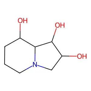 Octahydroindolizine-1,2,8-triol structure