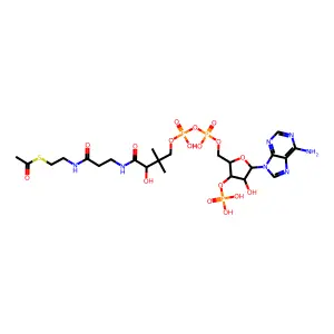 Phenolphthaleindibutyrate structure