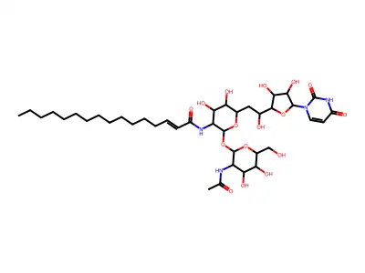 TUNICAMYCIN C2 HOMOLOG structure