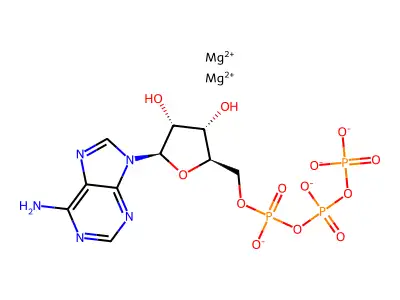 Magnesium ATP structure