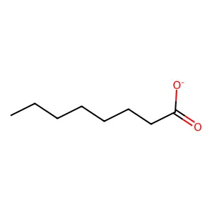 Octanoate structure