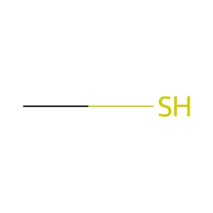 Methanethiol