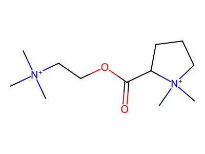Trepirium structure