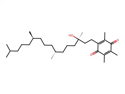 Eutrophyl structure