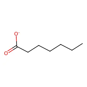 Heptanoate structure
