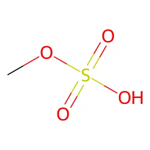 Monomethyl sulfate structure