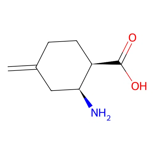(1R,2S)-2-amino-4-methylene-cyclohexanecarboxylic acid structure