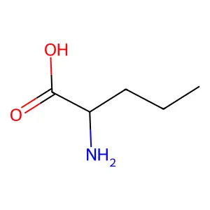 DL-norvaline structure