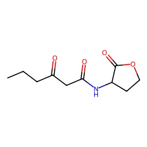 3-oxo-N-(tetrahydro-2-oxo-3-furanyl)hexanamide structure