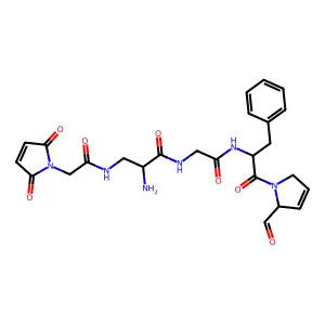 Cgppmg-dap structure