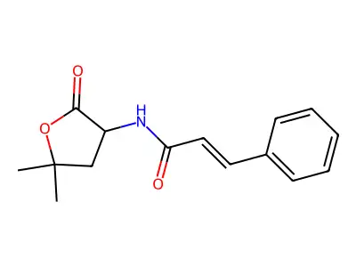 N-(5,5-dimethyl-2-oxooxolan-3-yl)-3-phenylprop-2-enamide structure