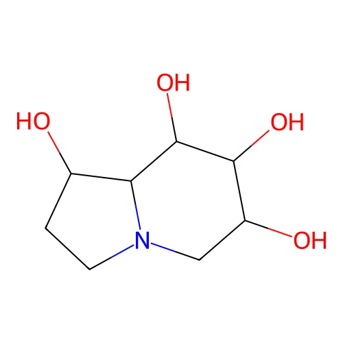 Octahydroindolizine-1,6,7,8-tetrol structure